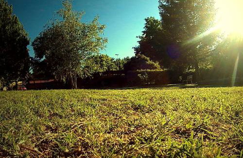 La Francigena - Foto 16