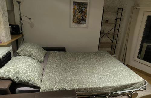 Le Nid plein centre - Foto 10