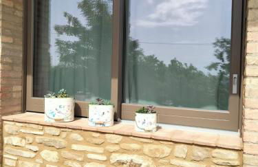 Lombardi Rita - Colle S. Martino - Photo 62