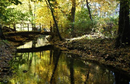 Pałac i Folwark Brzeźnica - Foto 62