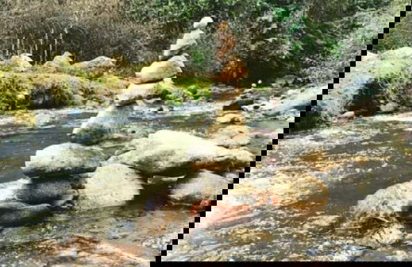 Nevado de Toluca National Park Hikes - Photo 2