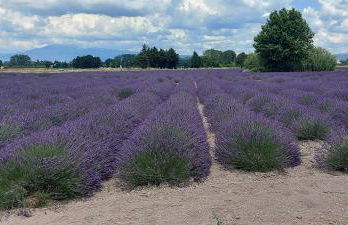 Beau studio Monteux, balcon vue Lac, près de Spirou Provence - Photo 40