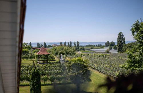 Obst- und Ferienhof Gomeringer - Foto 28