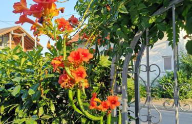 Casa Antico 2 - Foto 5