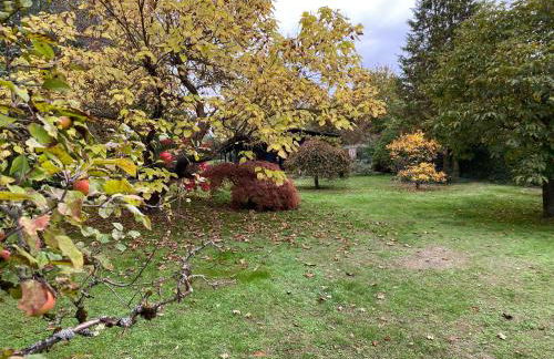 My Happy Garden 1500sq m - Foto 47