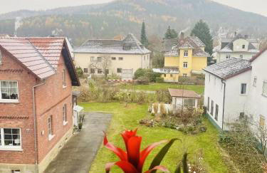 Fenix Haus - Foto 10