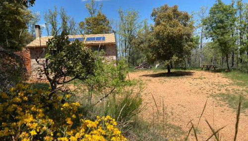 El Refugio de San Pablo de los Montes - Foto 4, Garden, Garden view