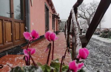 Feudo Magazzeni Etna - Foto 25