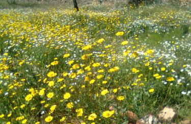 Casa Rural La Breña - Foto 84