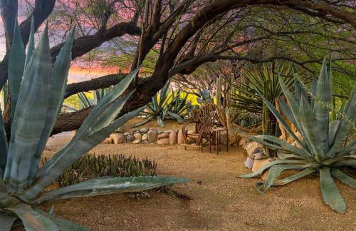 Cave Creek Healing House Heated Pool Desert Oasis - Foto 22