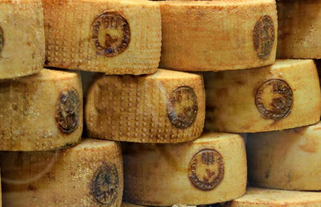 Pecorino Cheese and Wine Tour - Photo 2