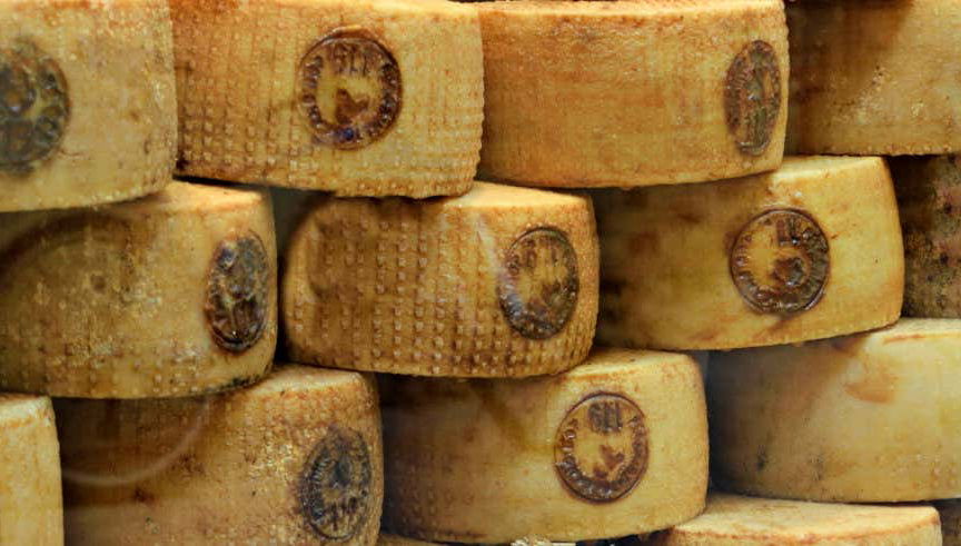 Tour del vino e del pecorino toscano