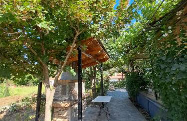 Rivers' house Tzoumerka - Foto 17