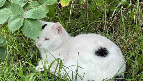 Zwei Zimmer Appartement Elbtalaue - Foto 2