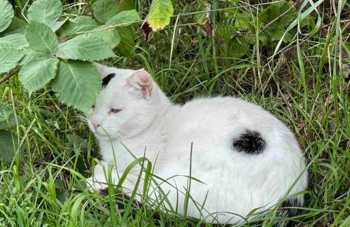 Zwei Zimmer Appartement Elbtalaue - Foto 2