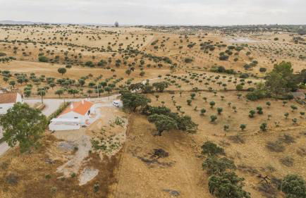 Vagar do Pastor - Foto 27