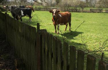 Dom na Podlasiu - Foto 20