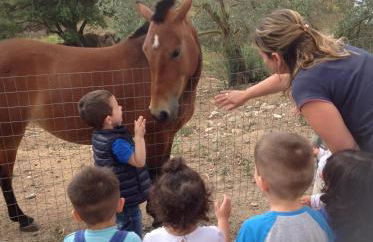 Agriturismo Funtan'Arva - Foto 18