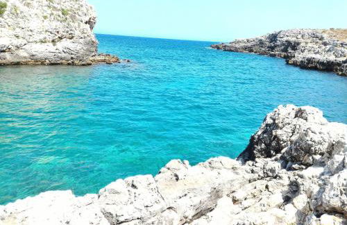 Masseria Vignenove - Foto 43