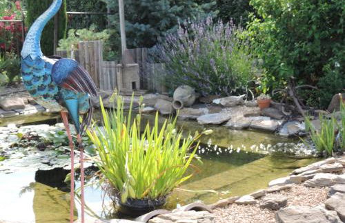 Le Faré Tchanqué Gîte en Provence parking wifi gratuit - Photo 42