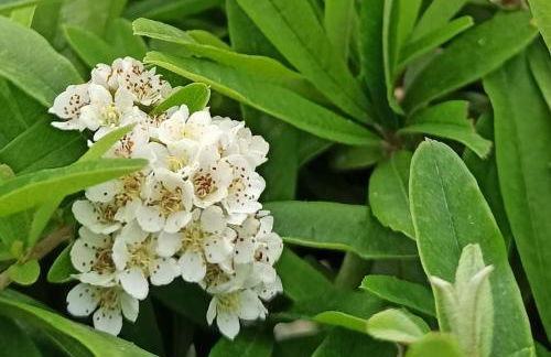 I Giardini di Plinio - Elegante e Luminoso. - Photo 22