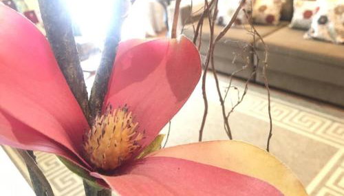 Homelland Apto205, junto ao centro de Gramado - Foto 5