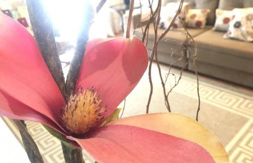 Homelland Apto205, junto ao centro de Gramado - Foto 5