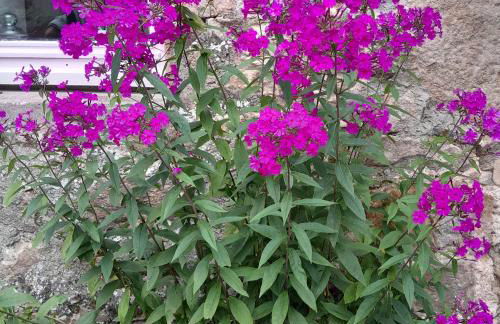 Gîte NOCTUA chez Gîtes QUE CANTA - Photo 70