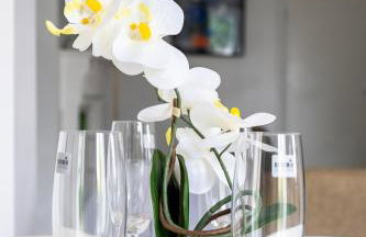 Spacious modern apartment in South Croydon - Foto 7