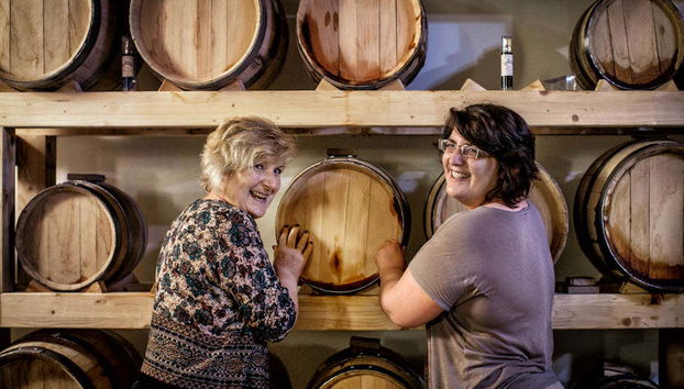 Visita a una cantina con degustazione di formaggio e vino umbro - Foto 4