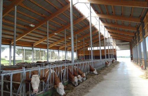 Schwarz-Hof - Foto 1