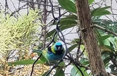 Cantinho para descansar à 200mts da praia. - Foto 54