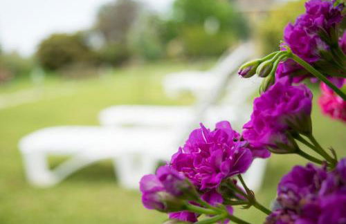 Mirsini Apartments - Foto 44