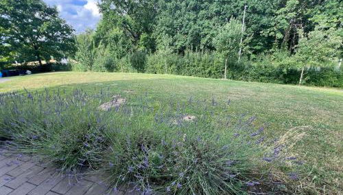 Feld & Flair Apartment - Photo 4