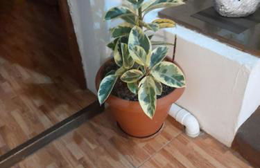 Vivienda Vacacional Sabinosa - Foto 74