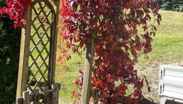 Baita Pradamont di Moreno - Foto 3, Garden view