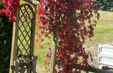 Baita Pradamont di Moreno - Photo 3