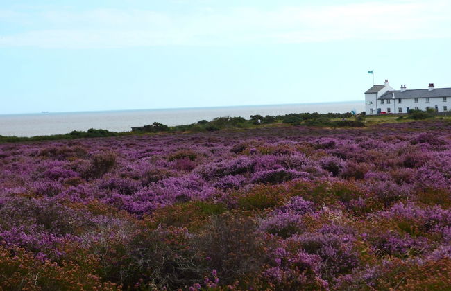 Fern Cottage Yoxford Suffolk - Whole House - Foto 35