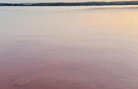 Apartment Holiday La Mata - Foto 44