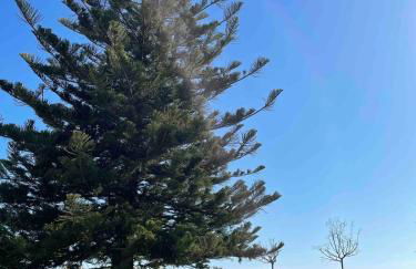 Studio vue Mer 4 personnes climatisé - Foto 18