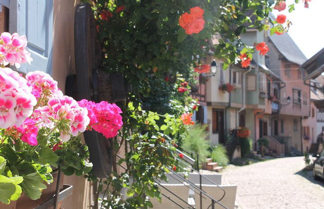 Elsässische Weinstraße Halbtagestour in kleiner Gruppe mit Verkostung ab Straßburg - Foto 4