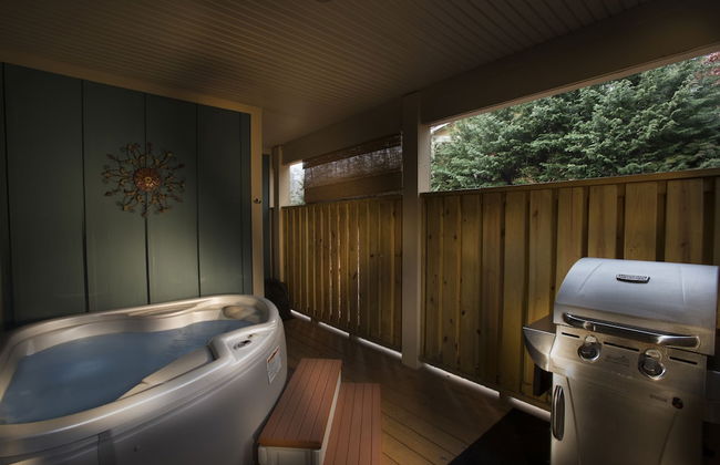 Asheville Cottages - Foto 43