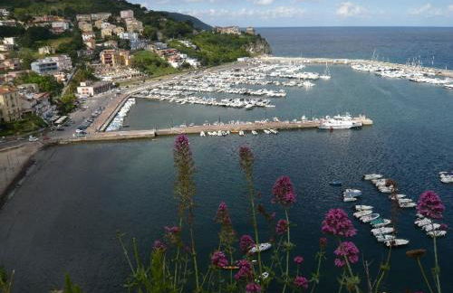 Paomà Sorrento - Foto 59