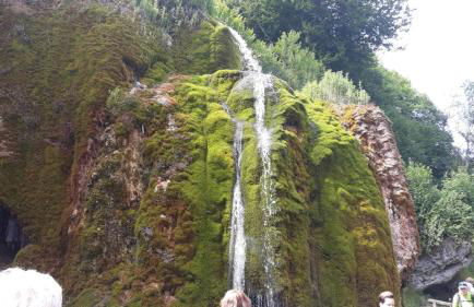 Mayesch Hof - Foto 23