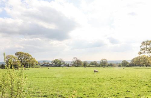 Stoneycross Cottage - Foto 44