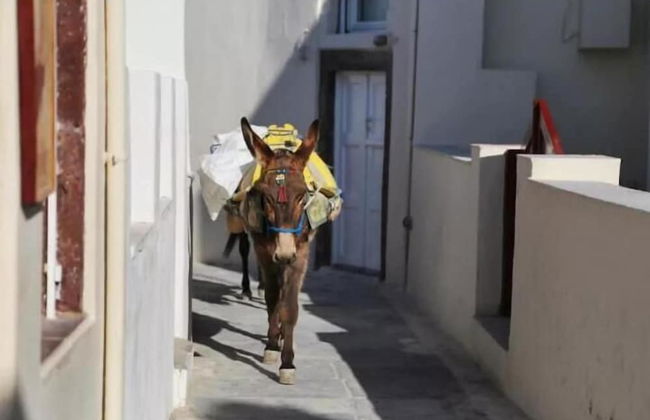 Dar Beldi - Photo 49