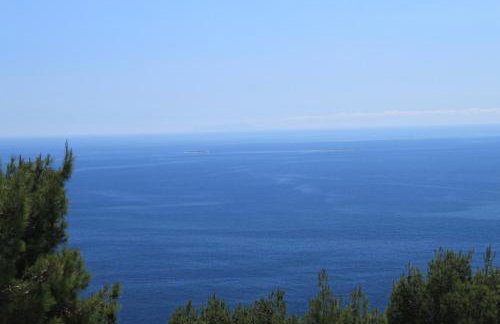 Apartments with parking space Sveta Nedilja, Hvar - 8792 - Foto 19