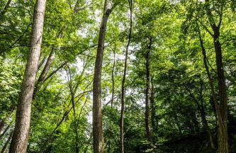 Cascina Arcangelo Raffaele - Foto 35