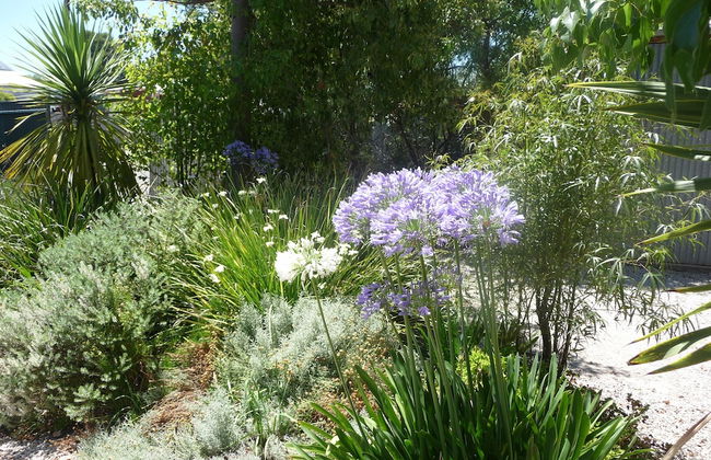 Country Bakehouse Accommodation - Foto 29