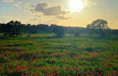 Complejo turístico El Soldado. - Foto 42